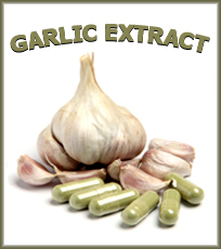 Garlic Extract..