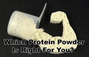 Powder Protein
