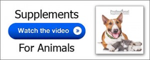 Video Supplements For Animals