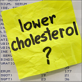 CholesterolDebate