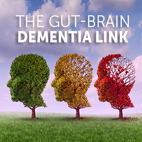 The Gut-Brain-Dementia Link