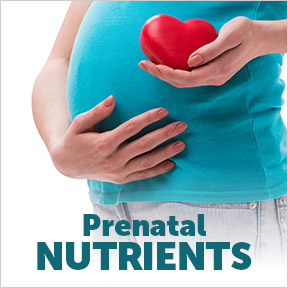 PrenatalNutrients