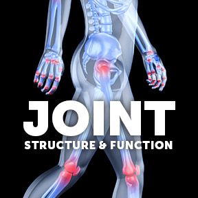 JointStructureFunction