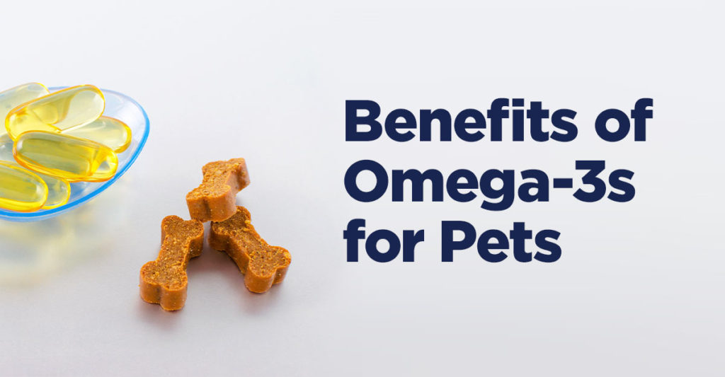 omega 3 for pets
